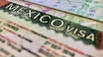 Nigerian Songwriting Visa