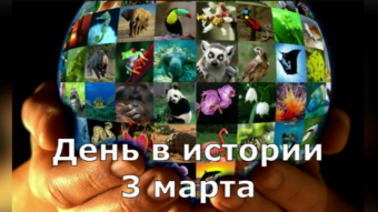 3 марта - праздники и исторические события дня 2024