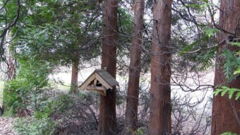 A gray, cold day without sun - My Actifit Report Card: March 7 2024