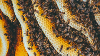 Getting Hiccoughs and Hives While Setting Up Accounts