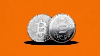Bitcoin Bruised, Solana Stung