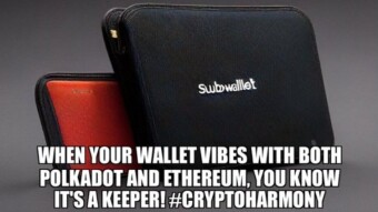 Deep Dive Into SubWallet - The Fully Open-Source, Non Custodial Wallet That Champions In Privacy!