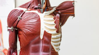 Would it be interesting to be able to negotiate the sale of my organs?