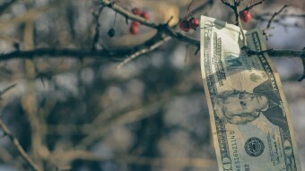 Build a Crash-Proof Crypto Portfolio with Dividend Coins