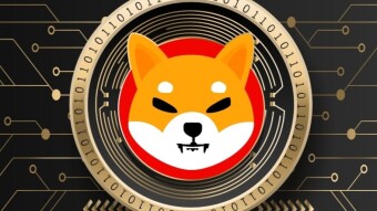 Why Should YOU! Invest in Shiba this year before it's to late