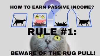 How to earn passive income with DeFi? Rule #1: Beware of the rug pull!