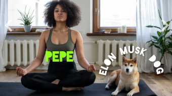 PEPE becomes first Non Musk memecoin to beat