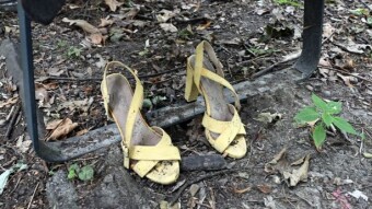 I don't know - such shoes - My Actifit Report Card: JULY 25 2025