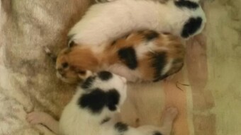 The miracle of life !!!!