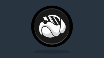 HOGE FINANCE Coin - Everything You Wanted To Know