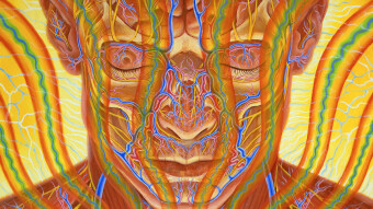 YCC BOJ JPY JGB UST QE CNY - Elephant In The Room Is Hungry and So Is Bitcoin