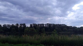 Pleasant June Monday - My Actifit Report Card: June 2 2025