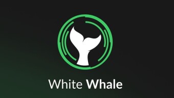 Earning more than 20% APY on White Whale (instead of Anchor) for your UST
