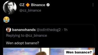 Wen Banance? BANANO on Binance Smart Chain: wBAN/BUSD PancakeSwap Farm Revival (350k BAN Rewards!)