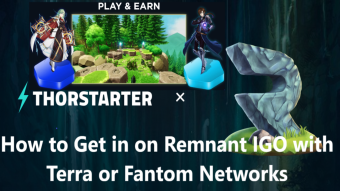 How to Participate on Remnant IGO on Thorstarter using Terra or Fantom Networks