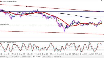 Bitcoin Update 25/01/21