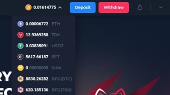 After Using BetFury for Two Months