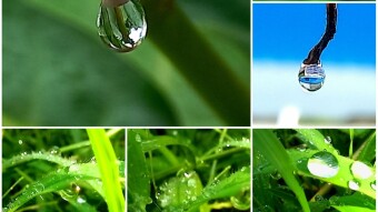Water drop photography.