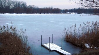Today a bit more gloomy and much less sun - My Actifit Report Card: January 21, 2025
