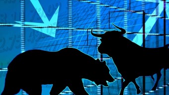 Bear With Me: What The Hell Is A Bear Market And How Do We Survive It?