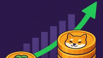 The Rise of Meme Coins Fueled by DeFi