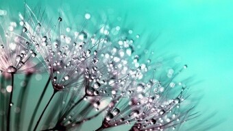 Life Success Is Considered Meaningful Over the Purpose