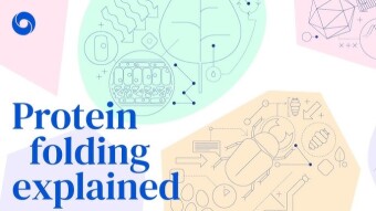 They Figured Out Protein Folding, Everything Will Change