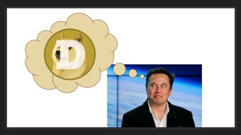 My Unbiased View on Elon & his Doge-gang