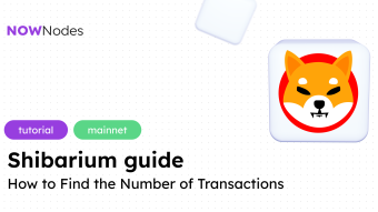 How to Find the Number of Transactions in a Shibarium Blockchain Block