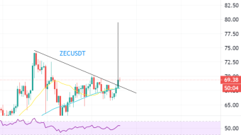 ZEC 1 hour breakout (9/01/20)