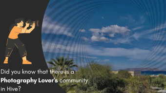 Sharing Photographs in the Blockchain! Let's check out the Photography Lover's Community in Hive