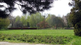 Calm, green and positive in the park - My Actifit Report Card: April 24 2023
