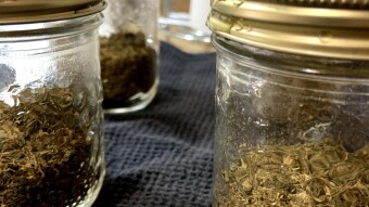 InstaDeCarb Ain’t Smell Proof … But It’s EASY!!!