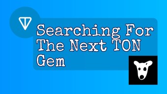 Searching For The Next TON Gem