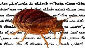 Bedbug Part 1 of 2