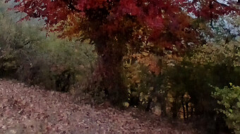 Feeling Fresh Air in My Lungs