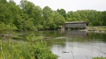 Wednesday Walk - Summer Hiking Along the River