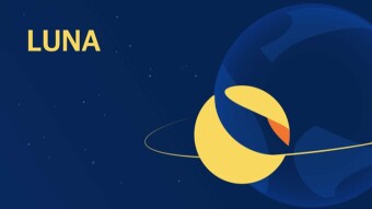 I received the LUNA 2.0 airdrop, now what?