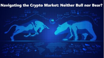Navigating the crypto market: neither bull nor bear