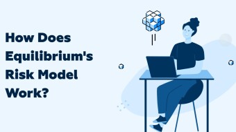 How Does Equilibrium's Risk Model Work?