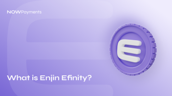Enjin Efinity Metaverse overview