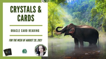 Crystals & Cards | Oracle Card Reading | For The Week of August 29th, 2021
