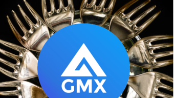 Things to Consider Before Investing in a GMX fork