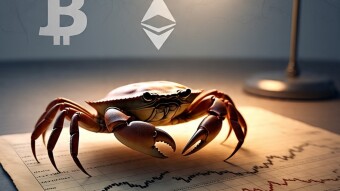 Crabs, Contracts, and Calm Before the Tariffs