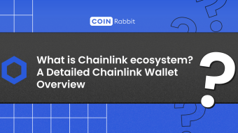 A Detailed Chainlink Wallet Overview. What is Chainlink ecosystem?