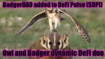Owl met Badger - Index Coop to include BadgerDAO in DeFi Pulse ($DPI)