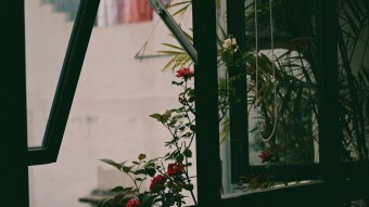 A Witness Through You