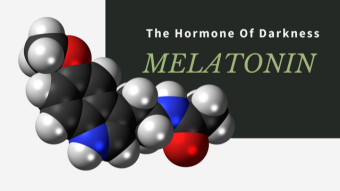 How does the melatonin hormone work and what are its physiological effects in our body?