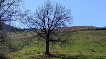 Countryside hiking - Uphill
