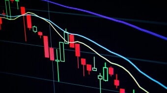 Follow The "True" Trend and It Will Set You Free